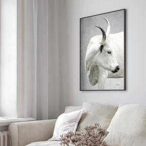 Texas Longhorn wall art – Western ranch photography print by Debra Gail Fine Art