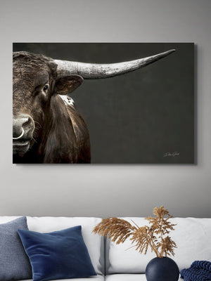 Texas Longhorn wall art – Western ranch photography print by Debra Gail Fine Art