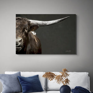 Texas Longhorn wall art – Western ranch photography print by Debra Gail Fine Art