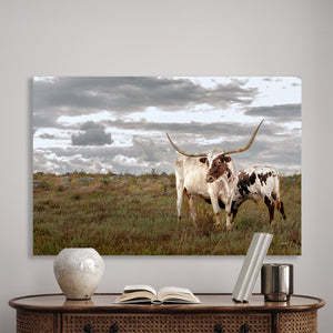 Longhorn fine art print – rustic western wall decor
