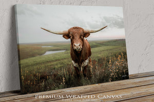 Texas cattle wall art canvas – neutral farmhouse style