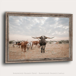 Longhorn Herd Western Wall Art Canvas | Wide Open Sky Texas Longhorns