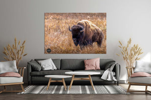 Bison wall art – neutral sepia rustic prairie photography print by Debra Gail Fine Art
