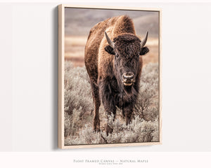 Vertical Bison Canvas Wall Art | Western Wildlife Art Rustic Decor