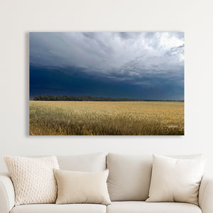 Wheat field wall art – Kansas prairie agriculture photography by Debra Gail Fine Art