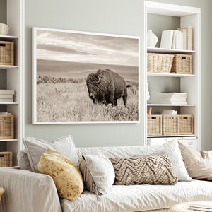 Plains Buffalo on the Prairie Photography | Sepia Toned Bison Canvas Print