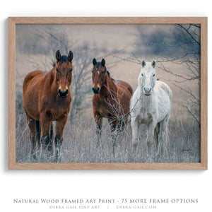 Wild Horses wall art – rustic Western fine art print by Debra Gail Fine Art