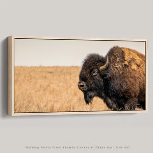 American Bison Panoramic Wall Art – Prairie Buffalo Photography Print, Western Wildlife Canvas