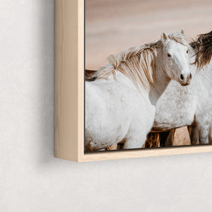 Two Mustangs Horse Wall Art - Flint Hills Kansas