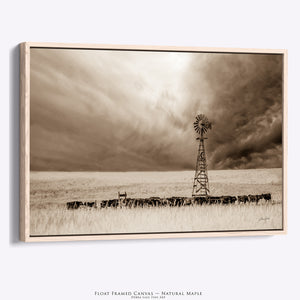 Black Angus Canvas Wall Art | Nebraska Windmill Print Farmhouse Decor