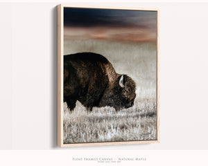 Vertical Bison Canvas Wall Art | Iconic American Buffalo Print