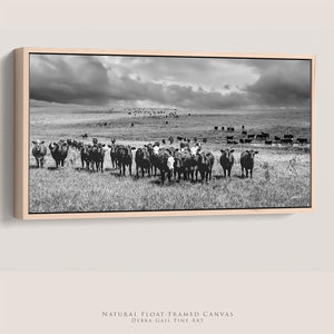 Black Angus Wall Art - Panoramic Angus Cattle Print Canvas | Rustic Decor