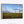 Kansas Wildflower Wall Art | Prairie Meadow Landscape Print
