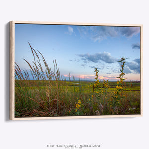 Kansas Wildflower Wall Art | Prairie Meadow Landscape Print