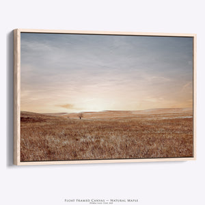 Kansas Lone Tree Wall Art | Endless Sky Flint Hills Prairie Canvas