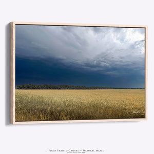 Kansas Storm Clouds Field Canvas Wall Art | Farmhouse Western Decor