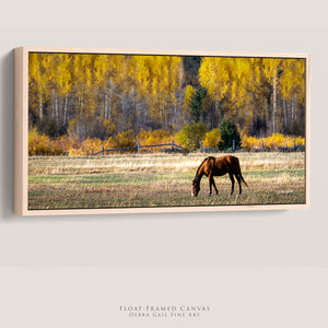 Horse Wall Art Decor | Wide Autumn Western Landscape Canvas