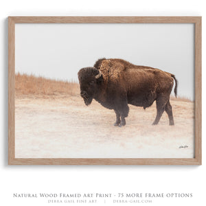 Foggy Bison Wall Art – Rustic Western Wildlife Print