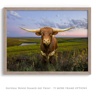 Texas Longhorn wall art – Western ranch photography print by Debra Gail Fine Art