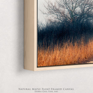 Foggy Flint Hills Dirt Road – Kansas Prairie Landscape