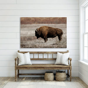 Rustic Bison Wall Art | Buffalo Canvas Print Western Farmhouse Decor