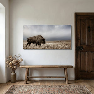 American Bison Panoramic Wall Art | Western Decor