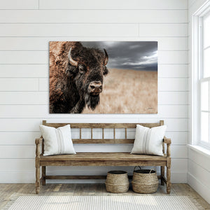 Bison Bull Close Up Photography | Rustic Buffalo Prairie Canvas Print