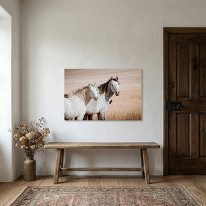 Two Mustangs Horse Wall Art - Flint Hills Kansas