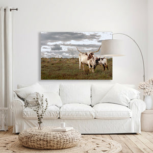 Longhorn Canvas Wall Art – Texas Longhorn Art Rustic Western Decor Print