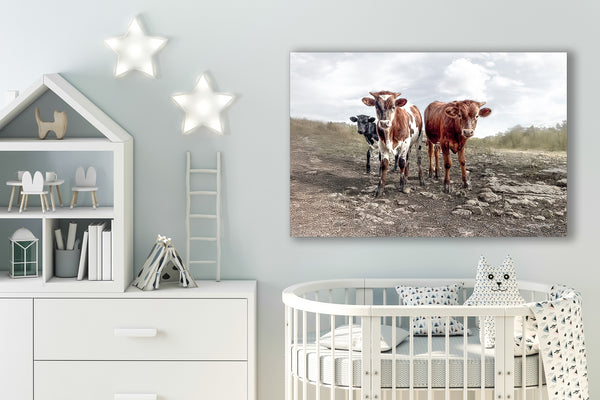 Longhorn Cow Print Picture - Cute Baby Calves