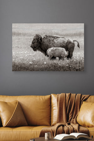 Bison wall art – rustic prairie photography print by Debra Gail Fine Art