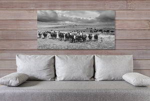 Black Angus Wall Art - Panoramic Angus Cattle Print Canvas | Rustic Decor