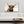 HAIRY COW CANVAS PICTURE - HIGHLAND COW PHOTOGRAPHY