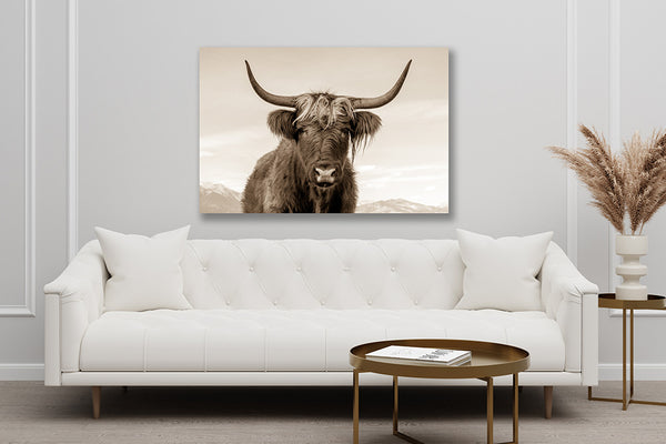 HAIRY COW CANVAS PICTURE - HIGHLAND COW PHOTOGRAPHY