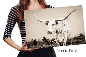 Texas Longhorn wall canvas barnwood framed Western fine art print by Debra Gail Fine Art