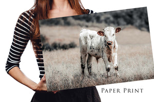 Longhorn Canvas Farmhouse Colors