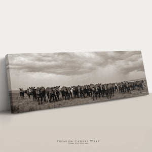 Black Angus Photography in Sepia | Panoramic Wide Cattle Canvas - Rustic Decor