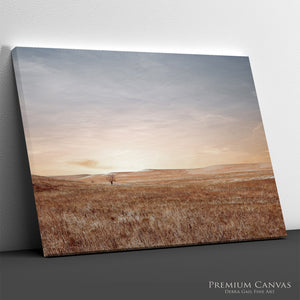 Kansas Lone Tree Wall Art | Endless Sky Flint Hills Prairie Canvas