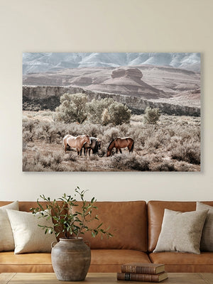 Pryor Mountain wild horses gathered among sagebrush and cottonwood trees in Bighorn Canyon, original muted Western landscape photography by Debra Gail Fine Art.