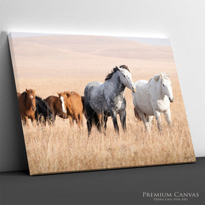 Kansas Flint Hills Wild Horses Wall Art – Prairie Horse Photography