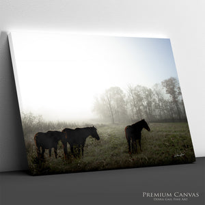 Wild Horses Photography Canvas or Print | Original Debra Gail Fine Art Western Wall Decor