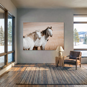 Two Mustangs Horse Wall Art - Flint Hills Kansas