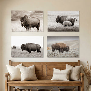 Bison Wall Art Photography — Set of 4