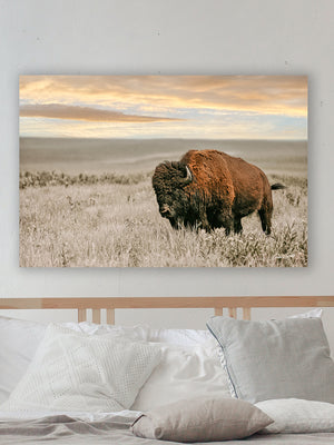 Buffalo wall art – Great Plains wildlife wall decor by Debra Gail Fine Art