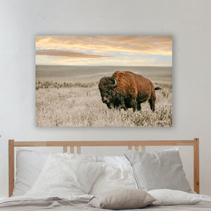 Buffalo wall art – Great Plains wildlife wall decor by Debra Gail Fine Art