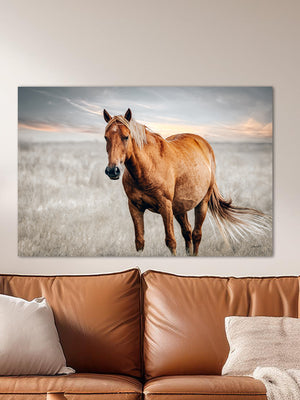 Western horse wall art featuring original fine art photography by Debra Gail Fine Art