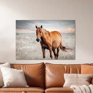Western horse wall art featuring original fine art photography by Debra Gail Fine Art