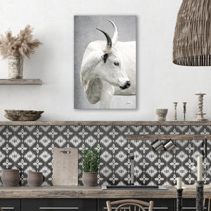 Texas Longhorn wall art – Western ranch photography print by Debra Gail Fine Art