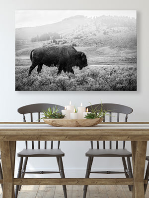 Bison wall art – black and white rustic prairie photography print by Debra Gail Fine Art