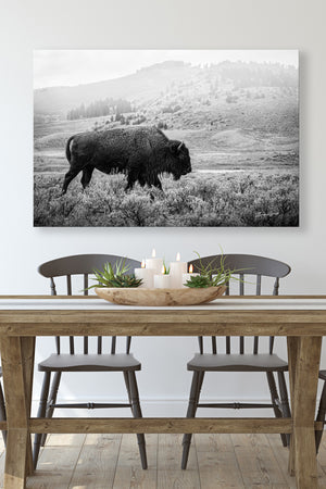 Bison wall art – black and white rustic prairie photography print by Debra Gail Fine Art